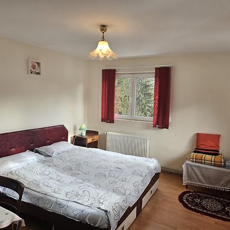 Apartament Retro-Relax Sinaia Exteriör bild