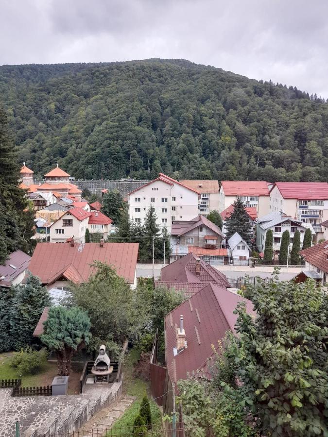 Apartament Retro-Relax Sinaia Exteriör bild